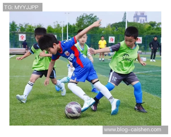 足球裁判琪带你走进绿茵场的公正与激情揭秘裁判背后的故事与挑战