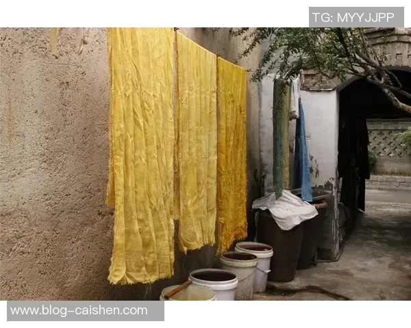 足球与染布的奇妙交融探索传统技艺与现代运动的完美结合 足球与染布的奇妙交融探索传统技艺与现代运动的完美结合